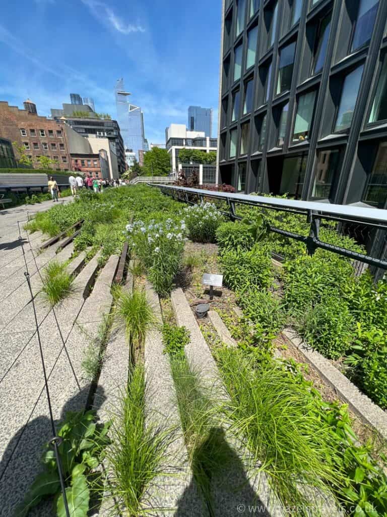An urban park scene from the Highline Park NYC, with a path lined by green plants and vibrant flowers against the backdrop of modern buildings and a pristine blue sky.