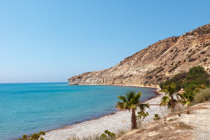 Rocky coastline with clear blue water and a pebbly beach, reminiscent of the stunning beaches in Cyprus. Sparse palm trees sway gently in the foreground under a clear blue sky.