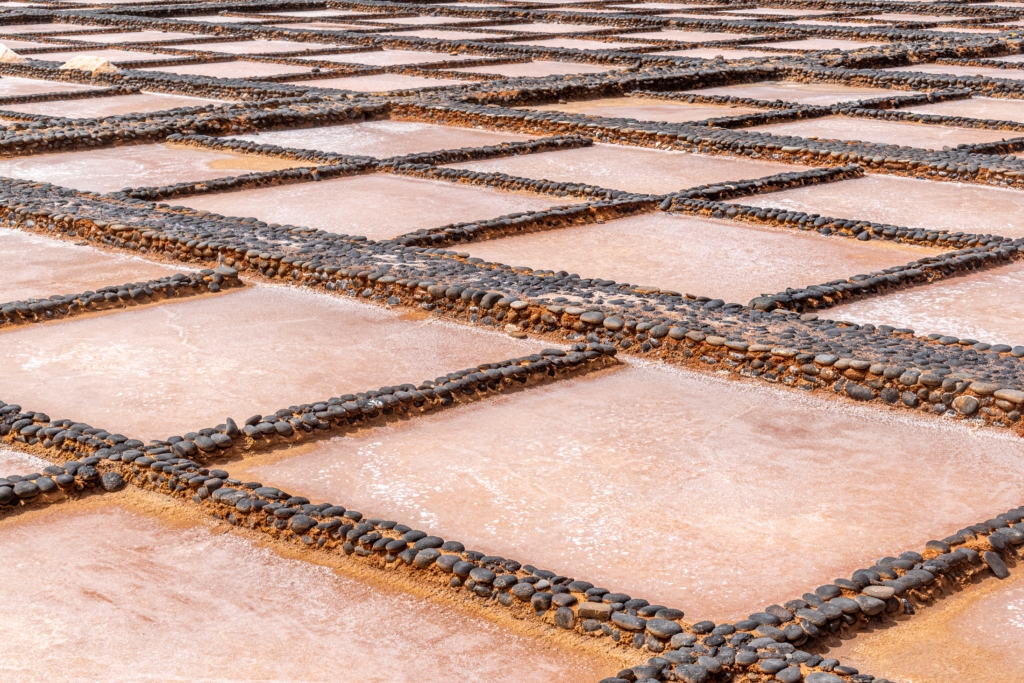 Rows of rectangular salt evaporation ponds bordered by dark stones, forming a grid pattern with crystallized salt visible on the ground.