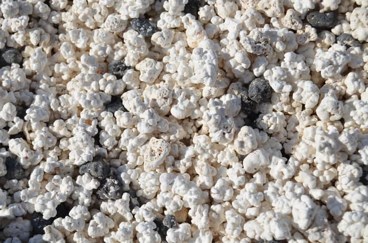 Close-up of white popcorn scattered with a few dark, round stones mixed in.