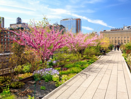 The Highline Park NYC: Walking from Chelsea Market to Hudson Yards