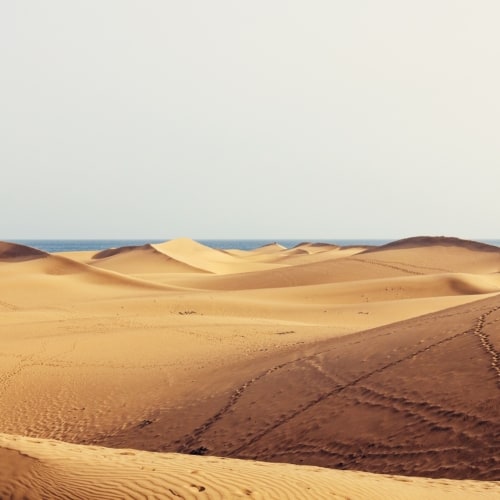 Landscape view of yellow rolling sand dunes with a white/grey sky.