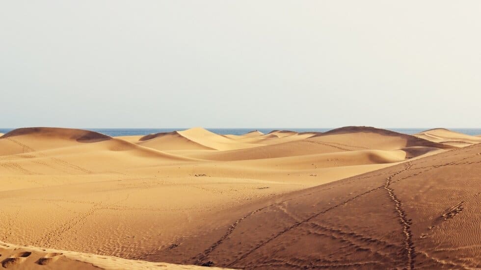Landscape view of yellow rolling sand dunes with a white/grey sky.