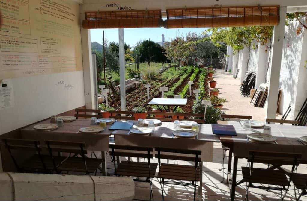 a dining room with a view of a garden.