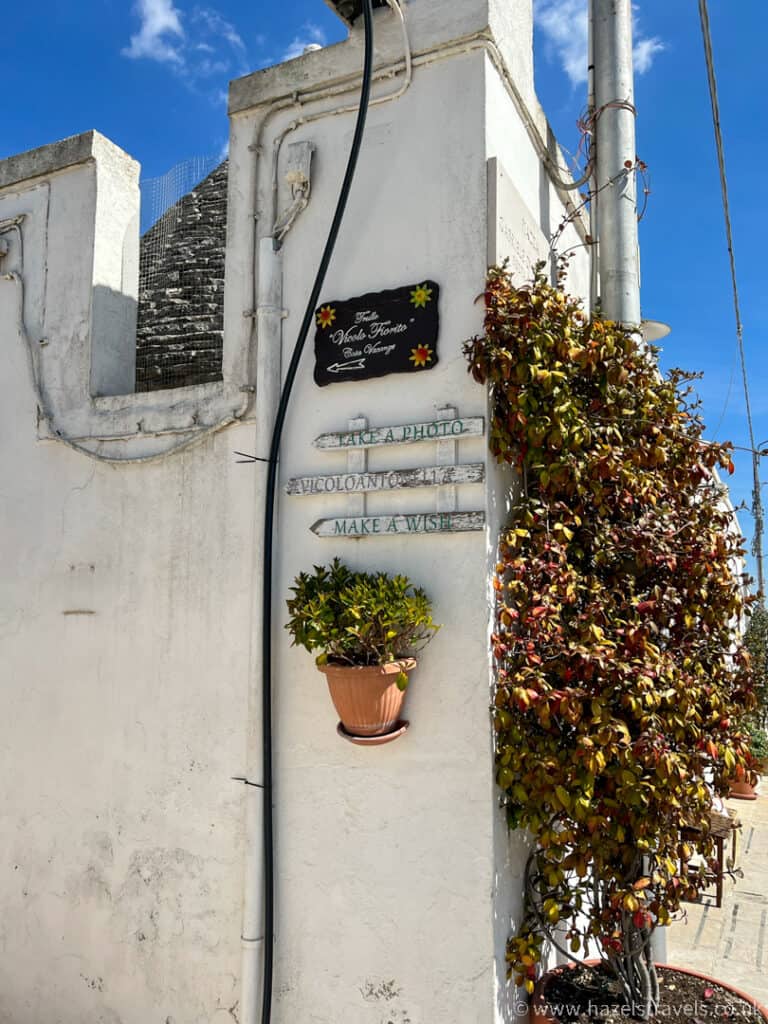 White wall with a potted plant, a black sign above, and directional wooden signs reading "Take a Photo," "Enjoy Local Ways," "Make a Wish." Blue sky and street visible.