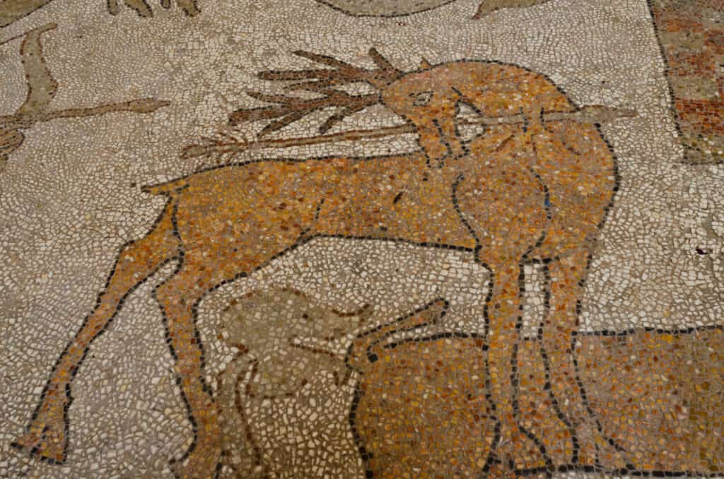 Ancient mosaic depicting a stag with large antlers, surrounded by additional animal figures, set in a simple stone pattern.