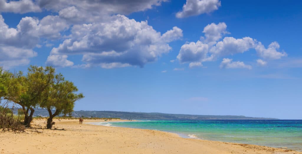 A sandy beach lined with sparse trees under a cloudy blue sky, with turquoise waves gently reaching the shore.