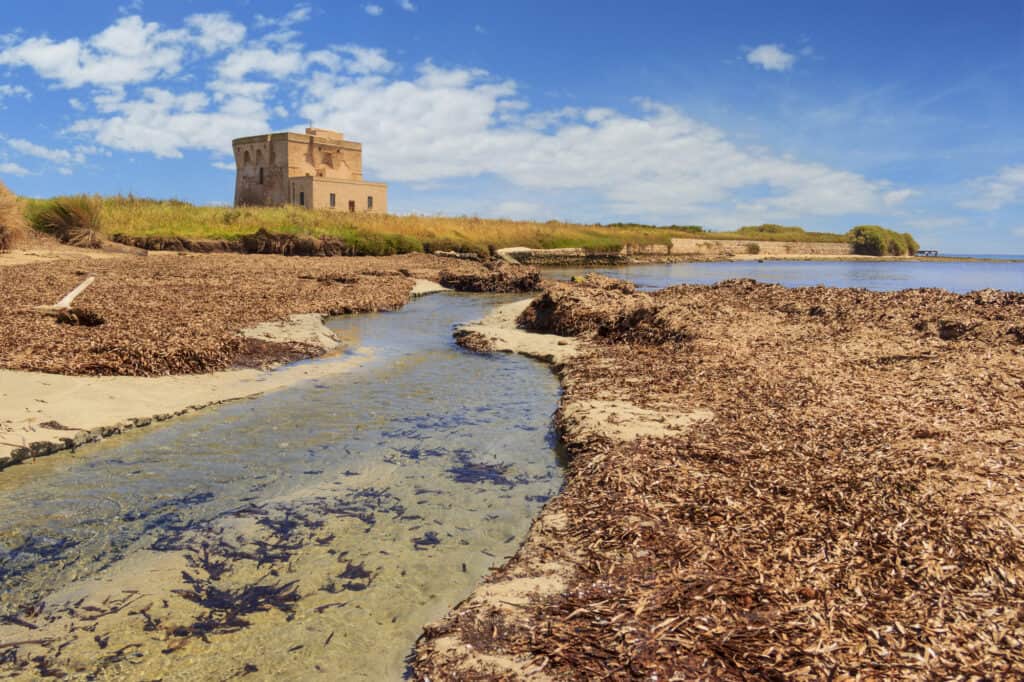 A weathered stone building stands near the shoreline, surrounded by dry vegetation and a narrow stream leading to a clear blue sky with scattered clouds.