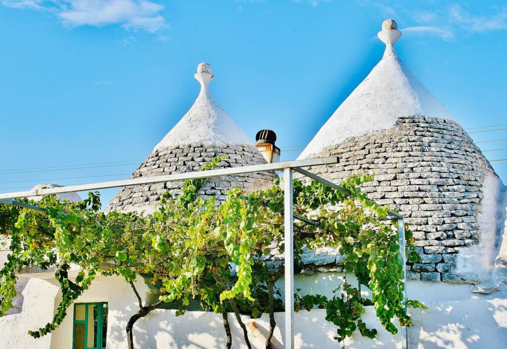 Stone trulli roofs with conical shapes, partially covered by a vine trellis under a blue sky.
