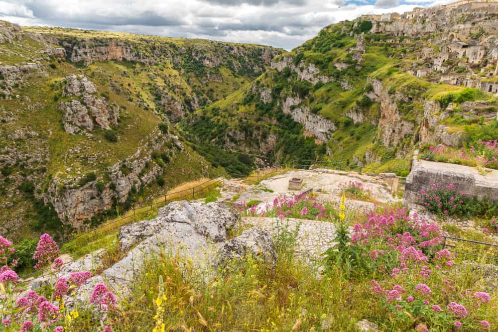 A scenic view of the Gravina Ravine reveals a deep green valley with rocky cliffs beneath a cloudy sky. Pink wildflowers dot the foreground, adding splashes of color to nature’s masterpiece.