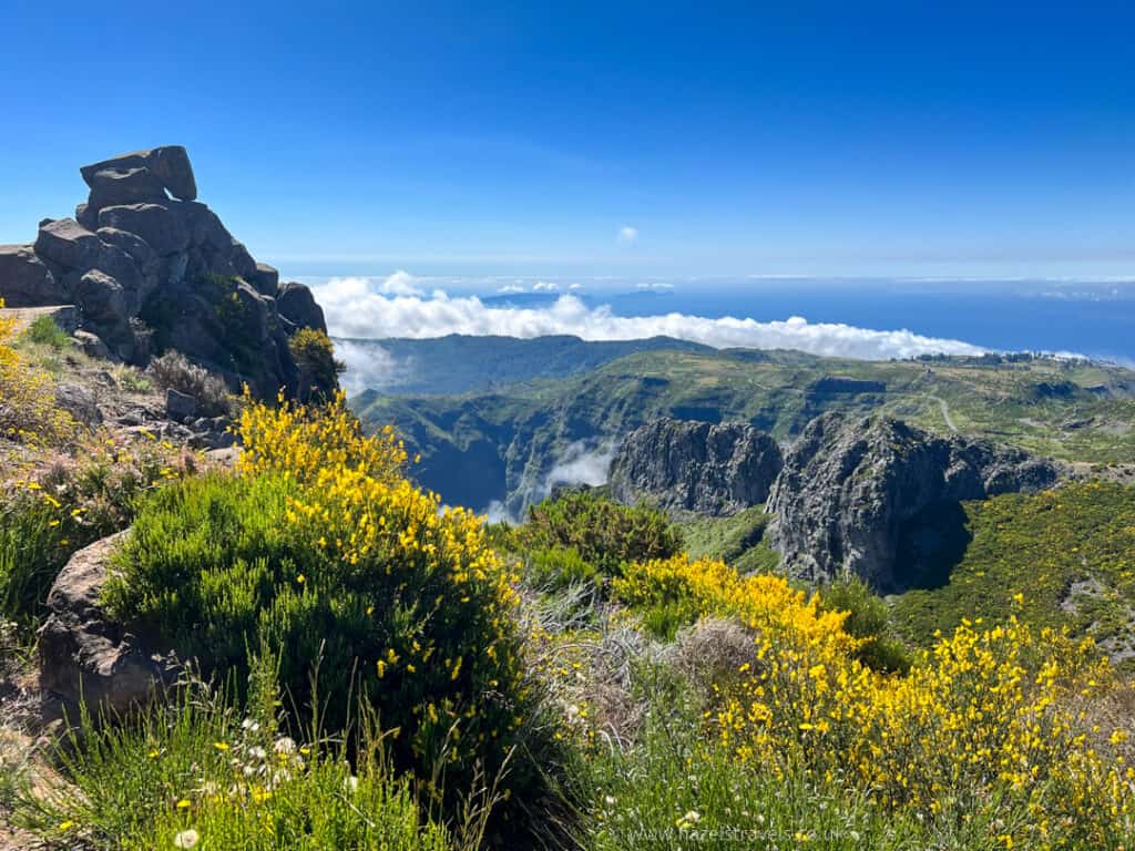 The view from Pico do Arieiro reveals a stunning mountain landscape with rugged cliffs, yellow wildflowers dotting the foreground, and a clear blue sky filled with scattered clouds in the background.