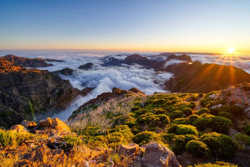 A stunning mountain landscape at sunrise, with Pico Ruivo's peaks surrounded by a sea of clouds and the sun peeking over the horizon.