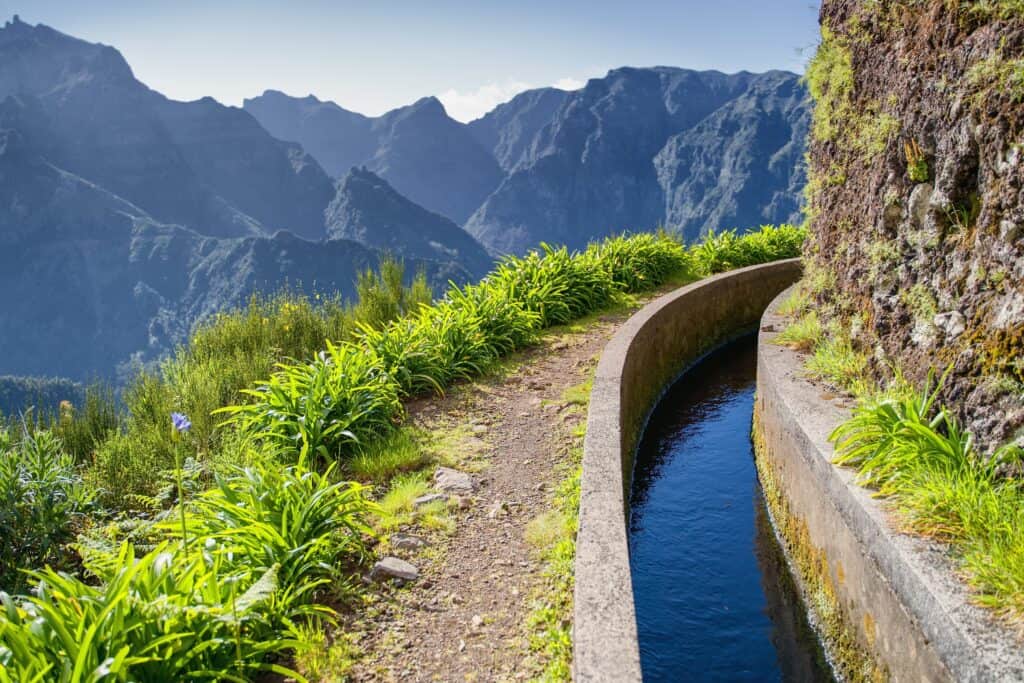 A curved irrigation channel runs alongside a lush, plant-lined path with mountains in the background under a clear sky, capturing the essence of Levada do Norte in Spring.