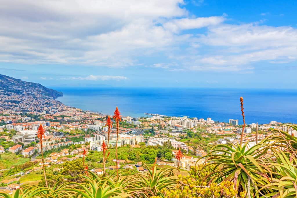 Elevated view of a coastal city with buildings surrounded by greenery, mountains on the left, and the ocean in the background under a partly cloudy sky. From Pico dos Barcelos, this picturesque scene unfolds with nature's grandeur enhancing the urban landscape.