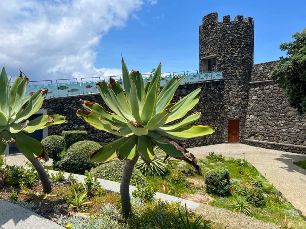 Stone tower structure with battlements in a garden with succulent plants under a partly cloudy sky.