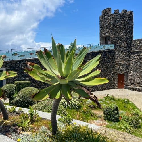 Stone tower structure with battlements in a garden with succulent plants under a partly cloudy sky.