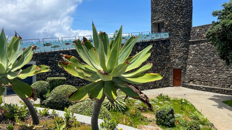 Stone tower structure with battlements in a garden with succulent plants under a partly cloudy sky.