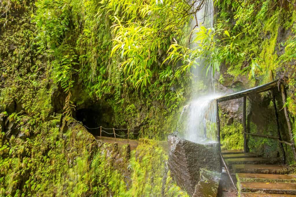 A lush green scene with a waterfall cascading next to a staircase in a mossy environment near Porto Moniz Madeira.