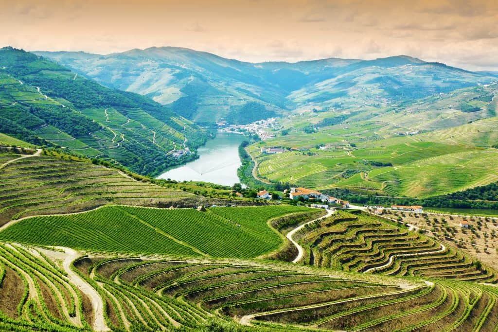 Aerial view of a lush, terraced vineyard in the Douro Valley along a river in a mountainous landscape, under a bright, cloudy sky.