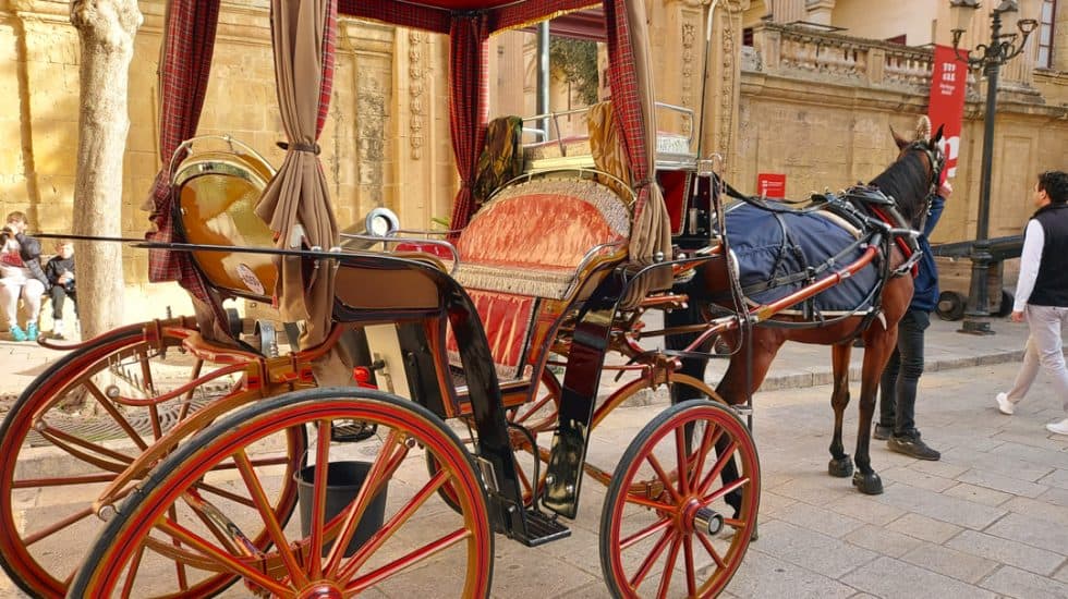 A traditional horse-drawn carriage parked in a cobblestone square, with a black horse in harness waiting near historic buildings.