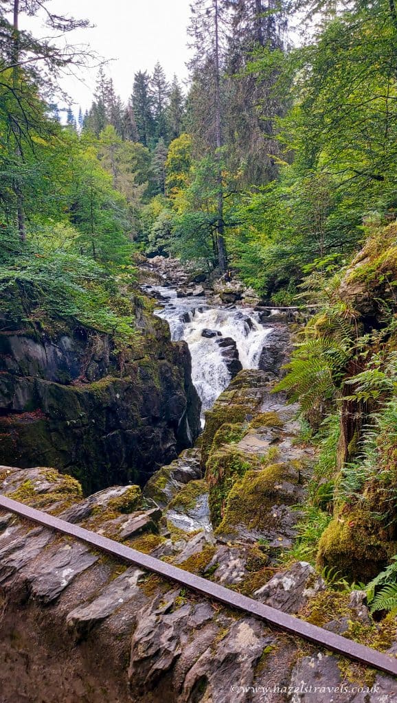 A small waterfall flows through rocks surrounded by dense, green forest. A stone wall with an iron rail is in the foreground.