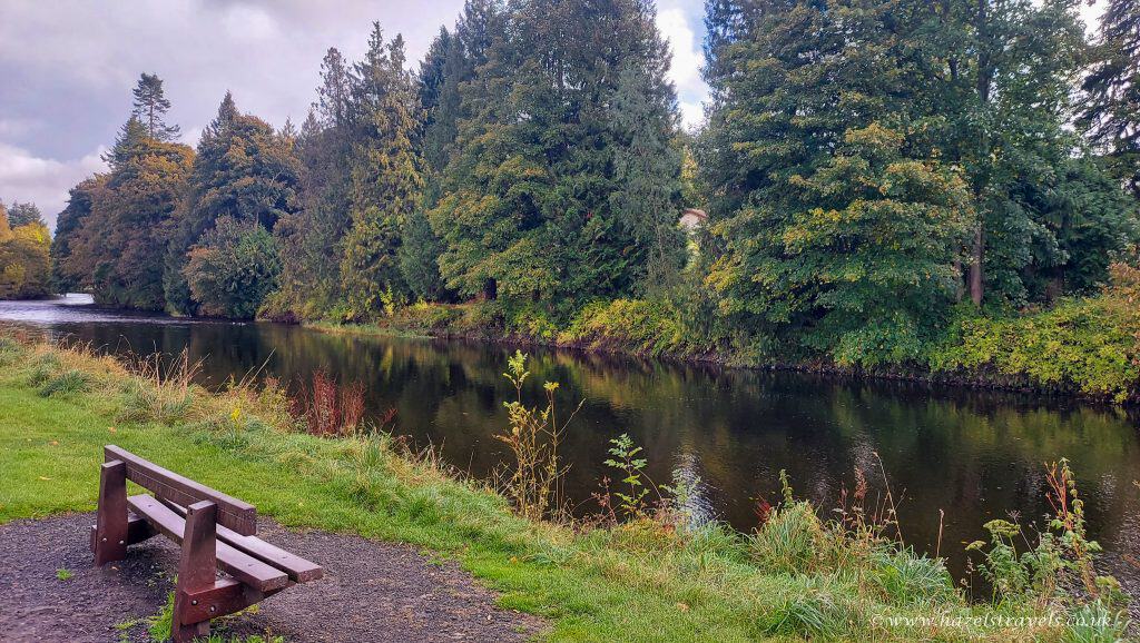 A wooden bench overlooks a calm river bordered by dense trees and greenery on an overcast day.