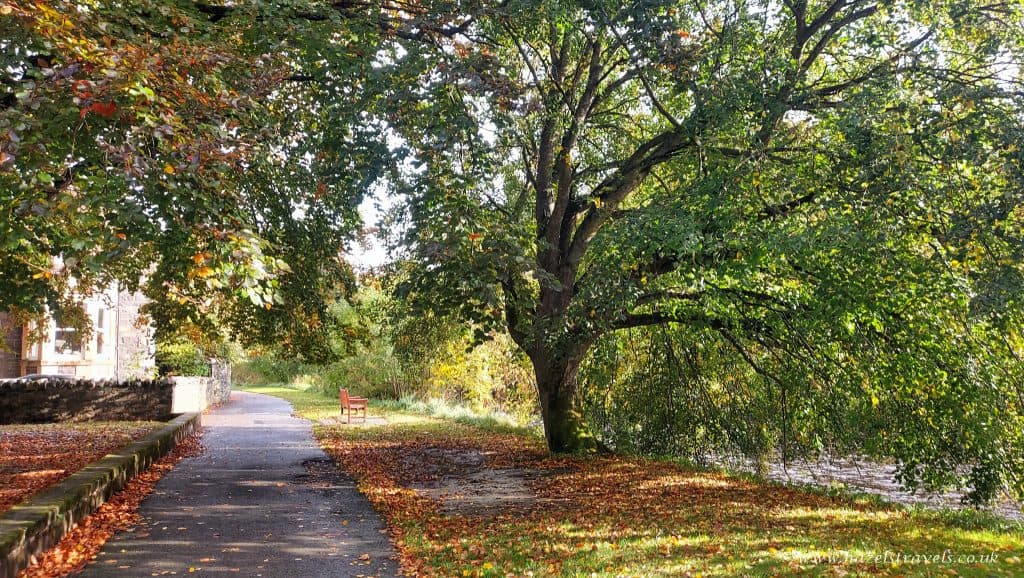A pathway lined with autumn leaves leads past a large tree with green foliage, next to a building on the left, and a bench further along the path.