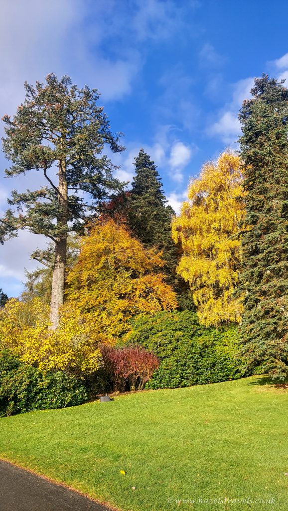 A vibrant park scene with tall trees displaying autumn colors of green, yellow, and orange under a blue sky with clouds.