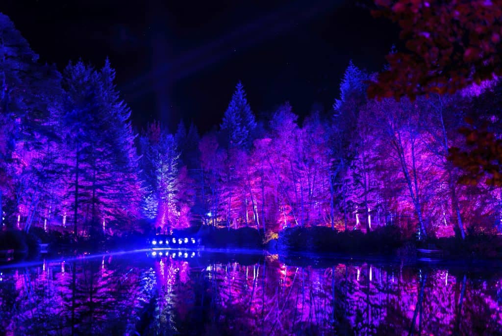 A forest illuminated with vibrant purple and pink lights is reflected in a body of water at night, near Pitlochry in the Scottish Highlands.