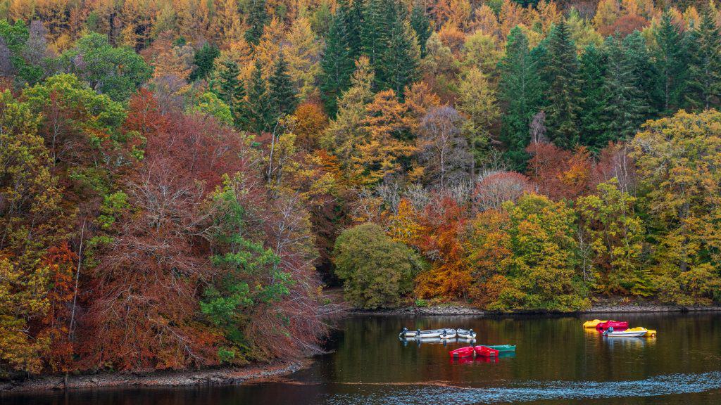 A serene loch near Pitlochry in Scotland surrounded by a forest of colorful autumn trees. Several small boats, including red ones, float on the water.