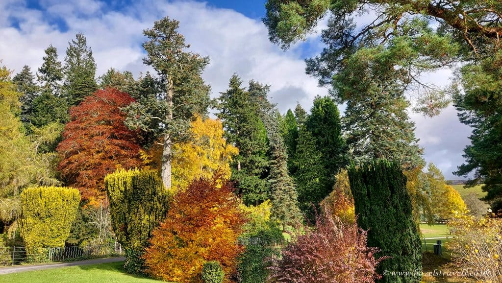 A vibrant autumn landscape with a variety of trees showcasing red, yellow, and green foliage under a partly cloudy sky.