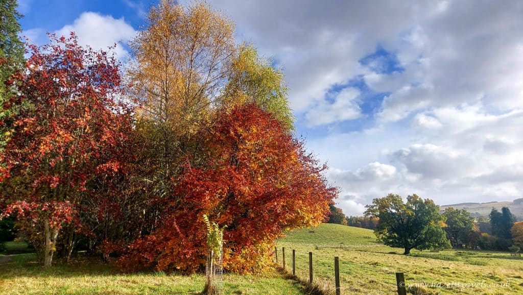 A vibrant autumn landscape with orange and red leaves on trees, a grassy field, and a partly cloudy sky. A wooden fence runs alongside the field.