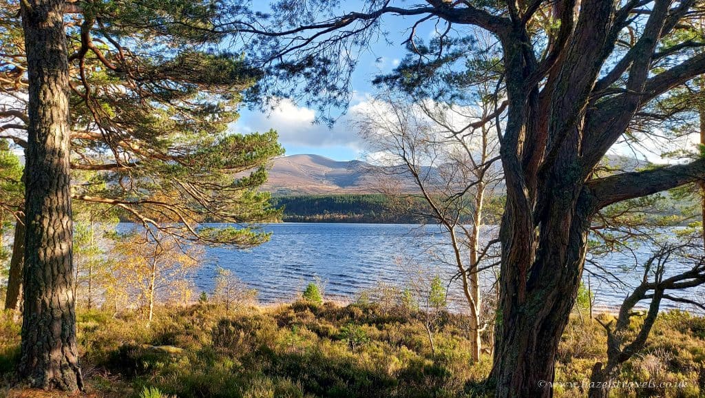 A serene lake view framed by tall trees, with mountains in the distance under a partly cloudy sky.