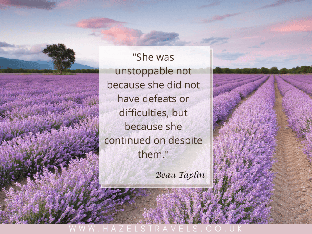 A lavender field at sunset with a quote by Beau Taplin about perseverance overlaid in the center.