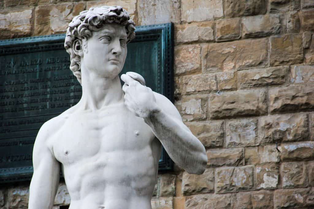 Marble statue of a muscular male figure, depicted from the chest up, standing against a stone wall with a plaque in the background. Michaelangelo's david.