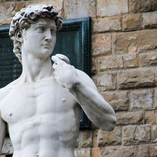 Marble statue of a muscular male figure, depicted from the chest up, standing against a stone wall with a plaque in the background. Michaelangelo's david.