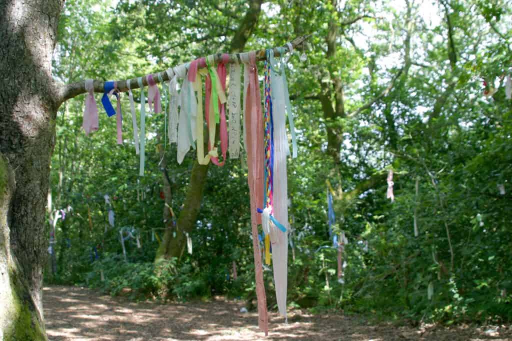 A tree branch adorned with colorful ribbons and fabric strips against a forest backdrop.