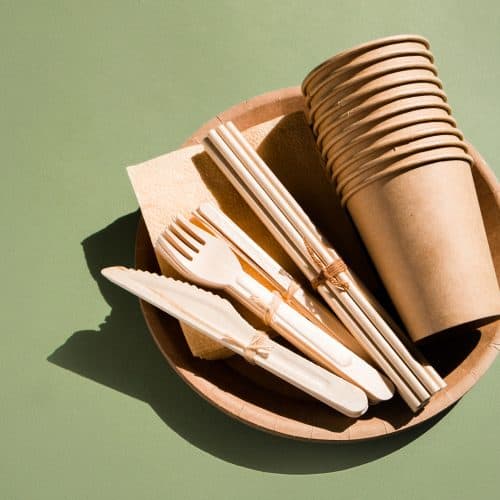 Biodegradable wooden cutlery and cups in eco-friendly packaging, ideal for sustainable travel and picnics, promoting environmental consciousness for eco-minded travellers.