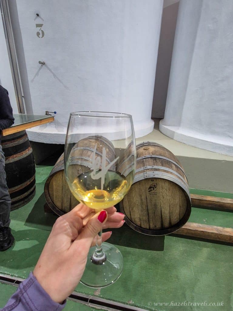 Golden wine glass held by a person with red painted nails, in a wine cellar with wooden barrels, whitewashed walls, and a green floor, showcasing wine tasting experience.