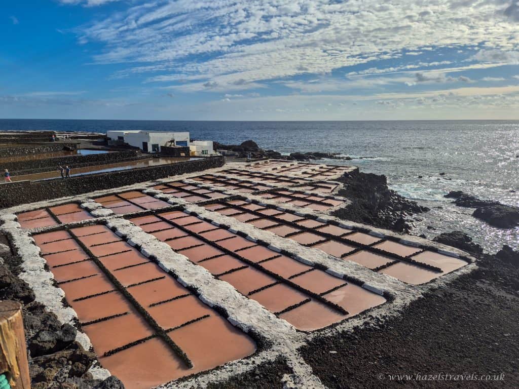 Salt flats with pink salt evaporation ponds on the rocky coast, scenic seaside landscape at sunset, Canary Islands.