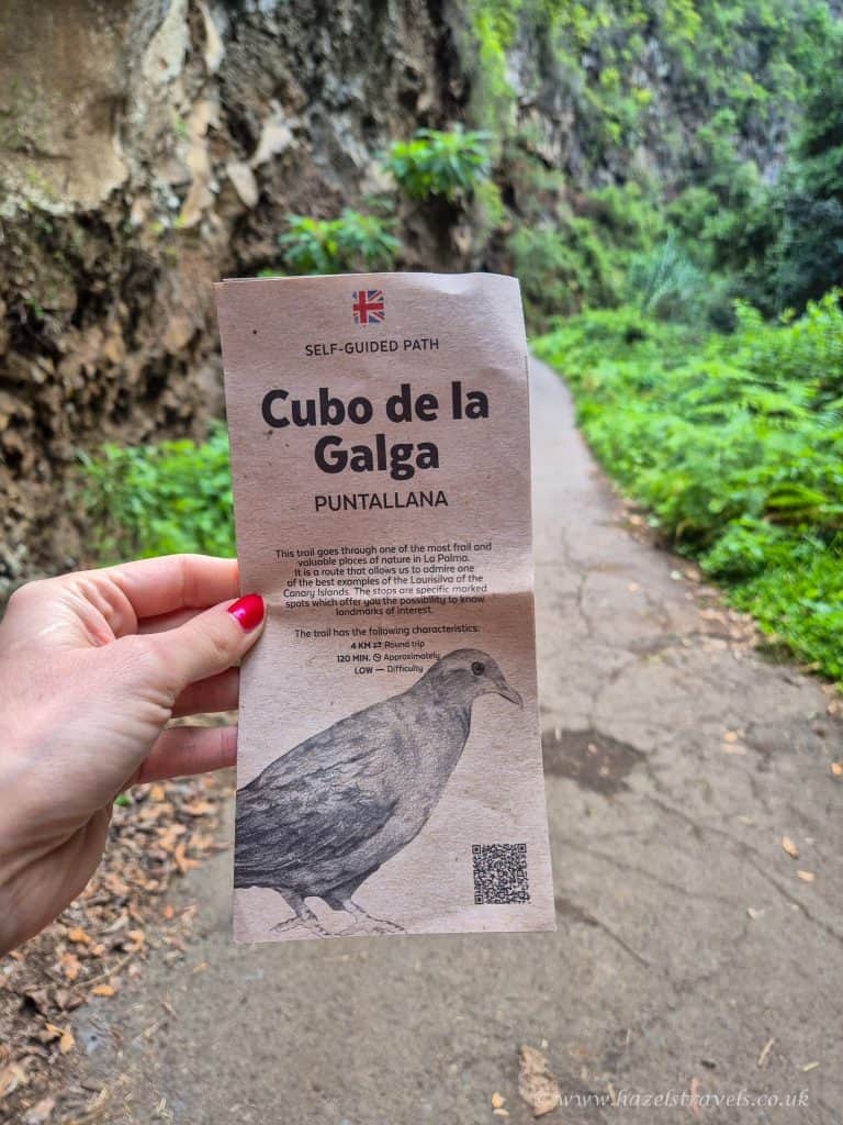 Cubo de la Galga self-guided nature trail in La Palma with a detailed trail description and bird illustration.