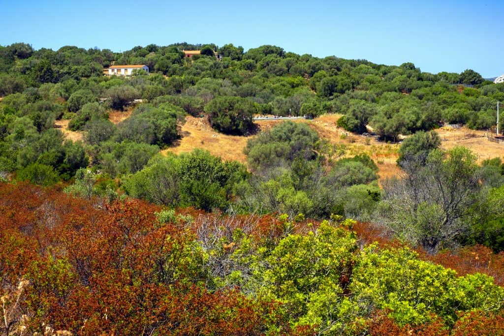 Houses are visible on a hillside covered with dense green and brown vegetation under a clear blue sky.