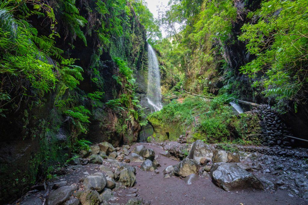 Lush rainforest with a stunning waterfall surrounded by dense green foliage, ideal for nature travel and adventure tours in remote exotic locations.