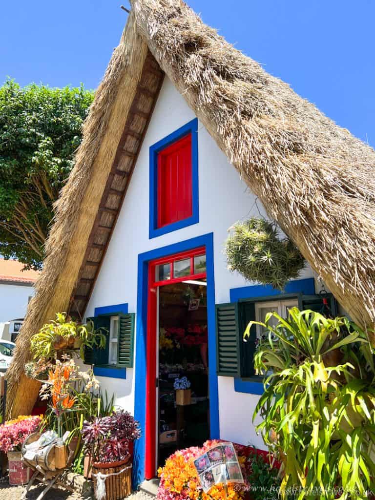 Vibrant miniature house with white walls, red and blue window frames, and a thatched roof, surrounded by colourful flowers and lush greenery, under a bright blue sky.
