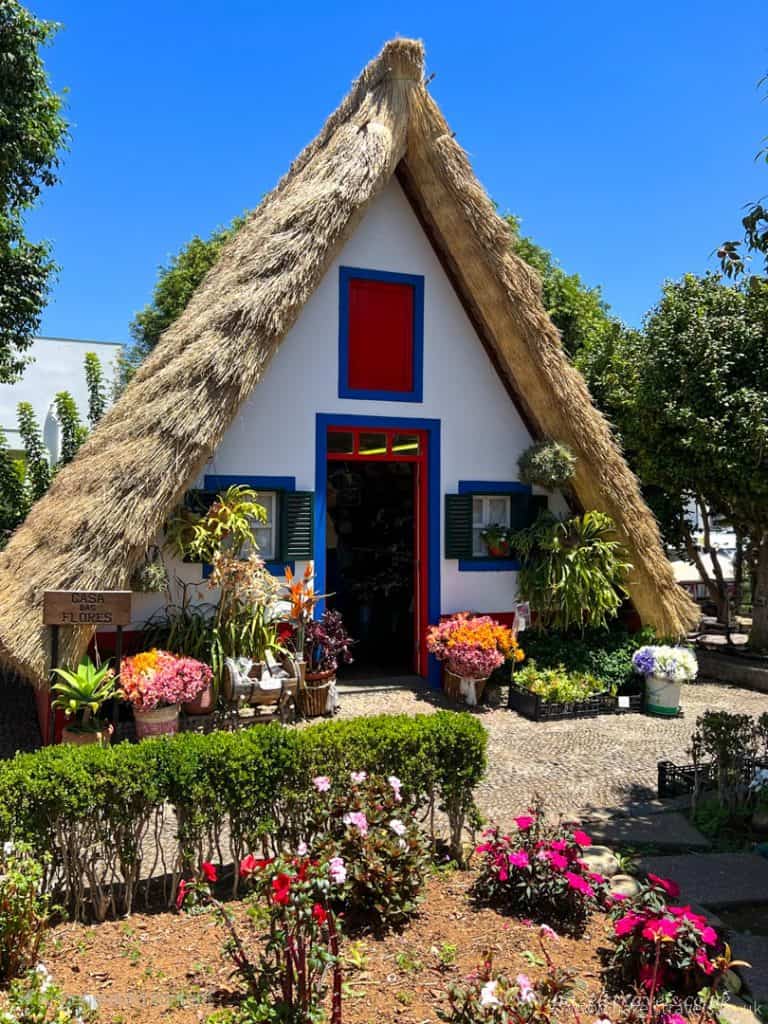 Colourful traditional house with a thatched roof, vibrant flowers, and lush greenery, perfect for Italian countryside travel experiences, showcasing picturesque scenery and rustic charm.