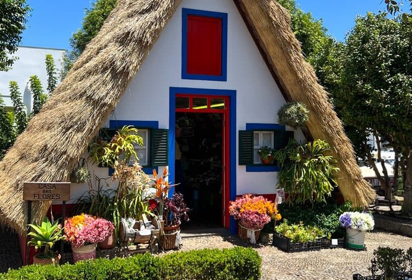 Colourful traditional house with a thatched roof, vibrant flowers, and lush greenery, perfect for Italian countryside travel experiences, showcasing picturesque scenery and rustic charm.