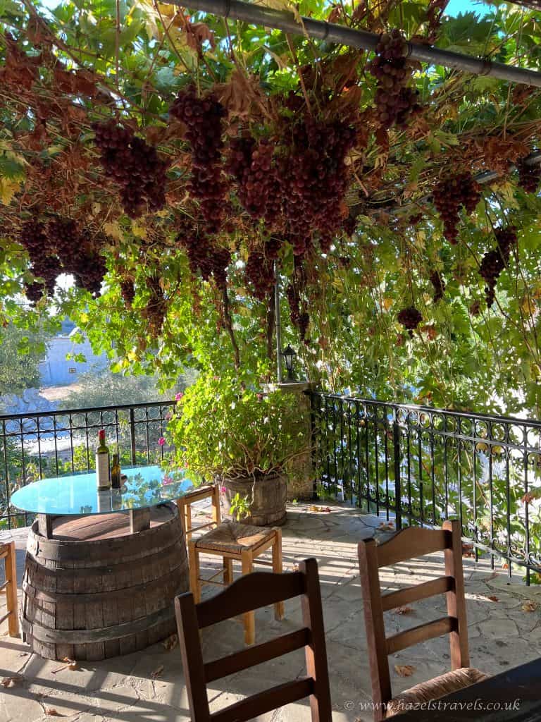 A vineyard terrace with grapevines and hanging clusters of ripe purple grapes, outdoor seating, and scenic views, ideal for wine tasting and alfresco dining.