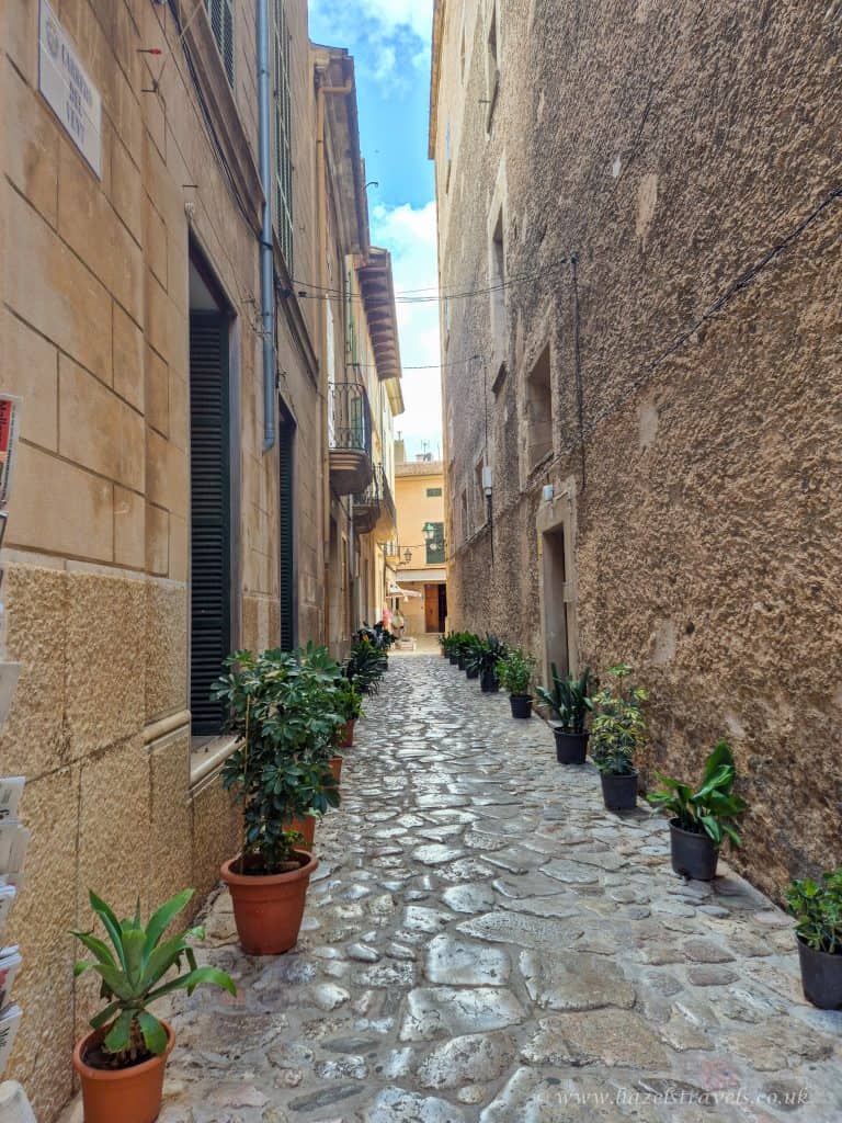Narrow cobblestone alley lined with potted plants between tall stone buildings under a partly cloudy sky.