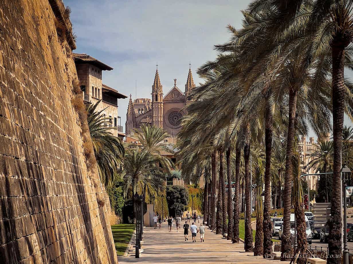 Cathedral palm trees historic architecture strolling avenue in Barcelona, Spain, with people walking and the famous Palma cathedral in the background.