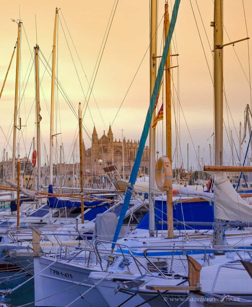 Sailing boats in a marina at sunset with historic cathedral in the background, picturesque Mediterranean harbour scene, luxury yachts moored at port, holiday or vacation destination in Europe.